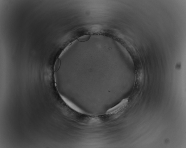 X0000102820715200809021250