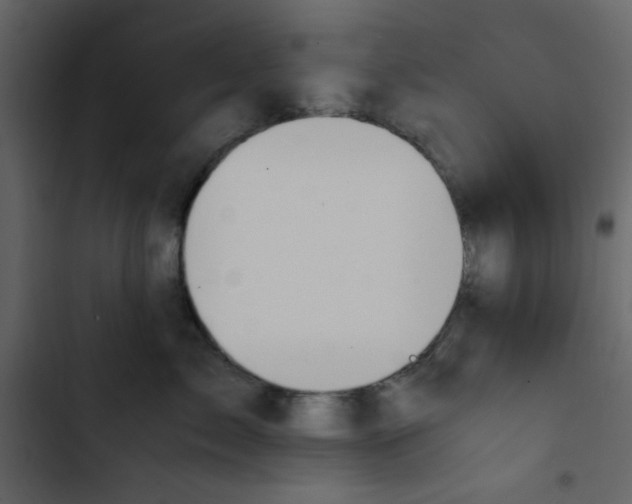X0000102820717200809021250