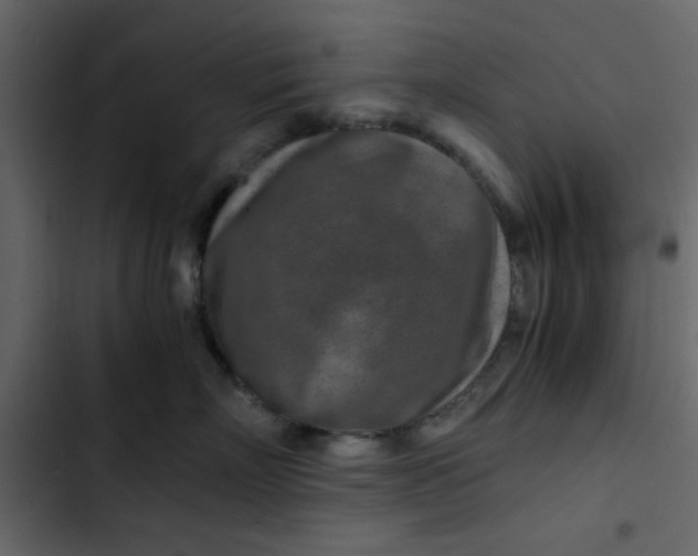 X0000102820718200809021250
