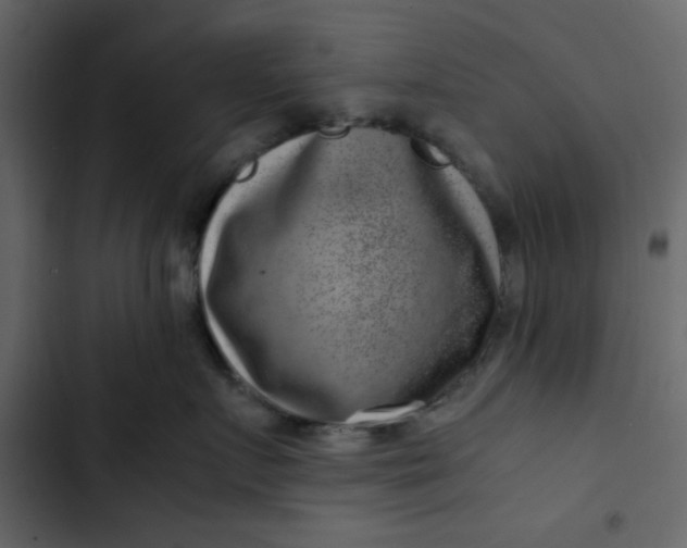 X0000102820719200809021250