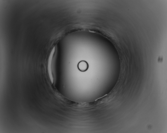 X0000102820720200809021250
