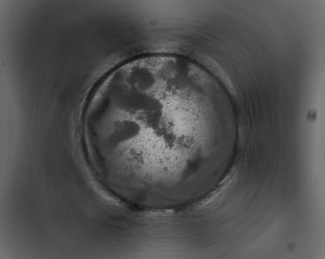 X0000102820721200809021250