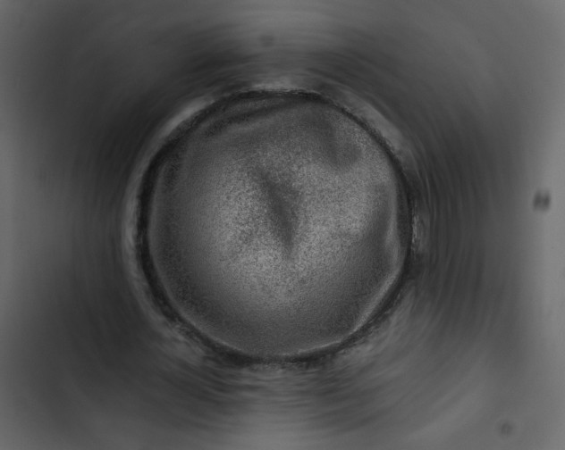 X0000102820724200809021250