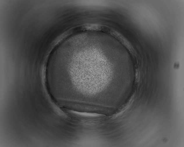 X0000102820725200809021250
