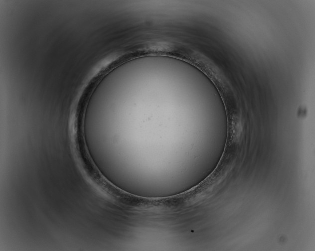 X0000102820726200809021250
