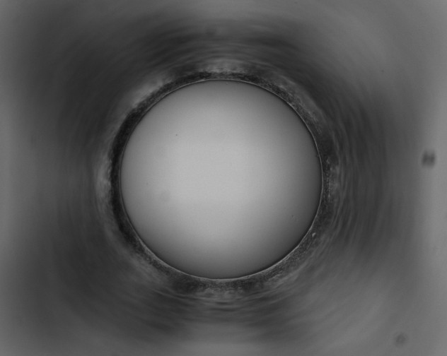 X0000102820727200809021250
