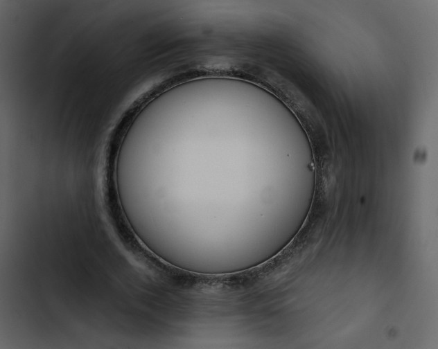 X0000102820728200809021250