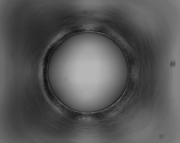X0000102820730200809021250