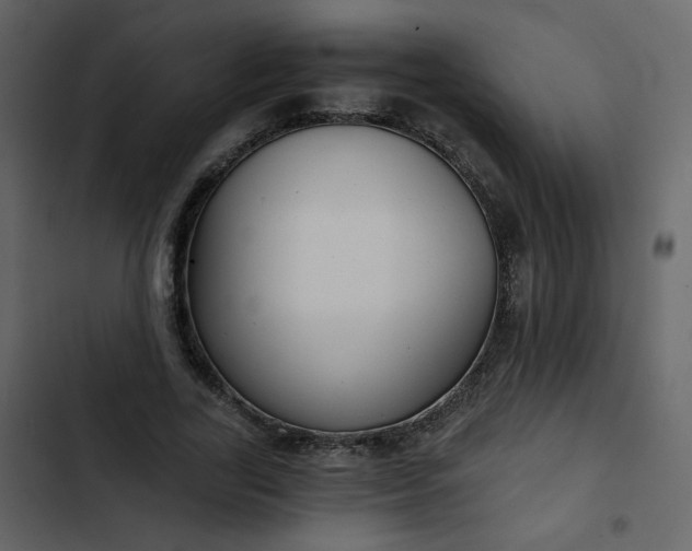 X0000102820731200809021250