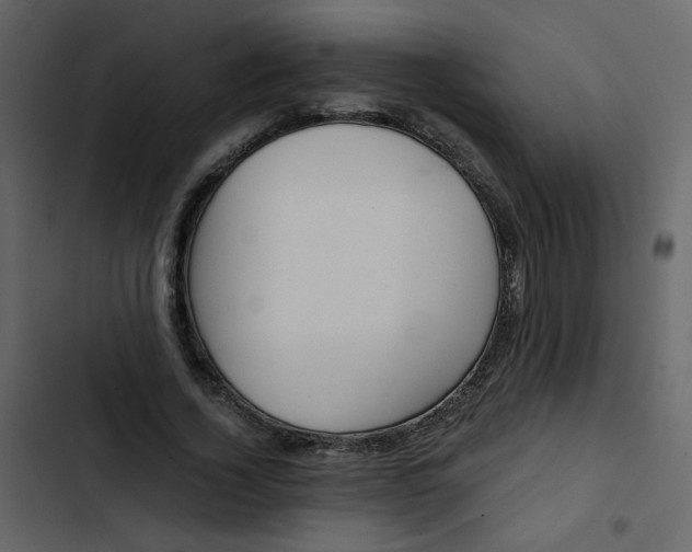 X0000102820732200809021250