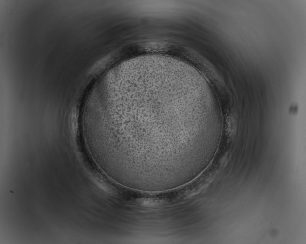 X0000102820733200809021250