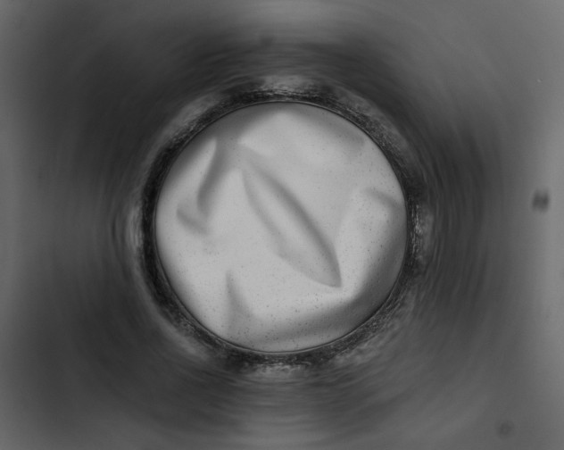 X0000102820734200809021250