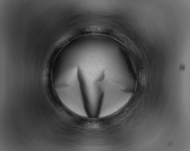 X0000102820735200809021250