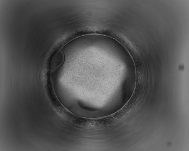 X0000102820736200809021250