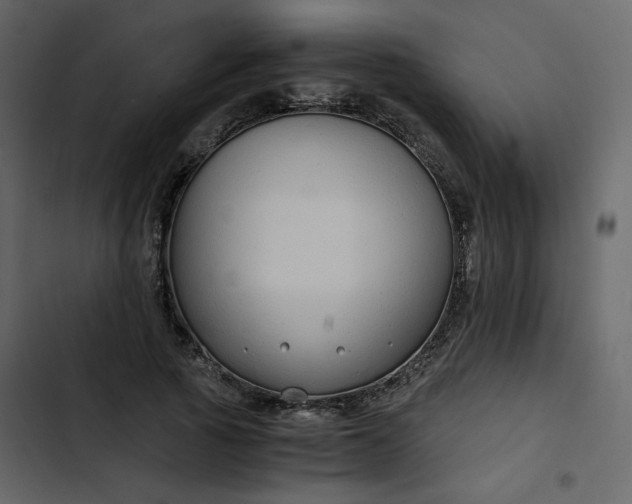 X0000102820737200809021250