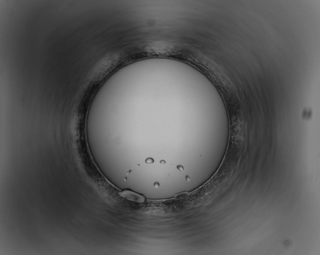 X0000102820738200809021250