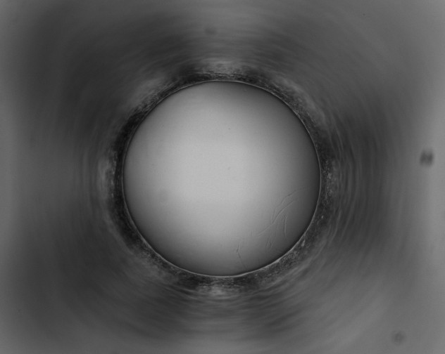 X0000102820739200809021250
