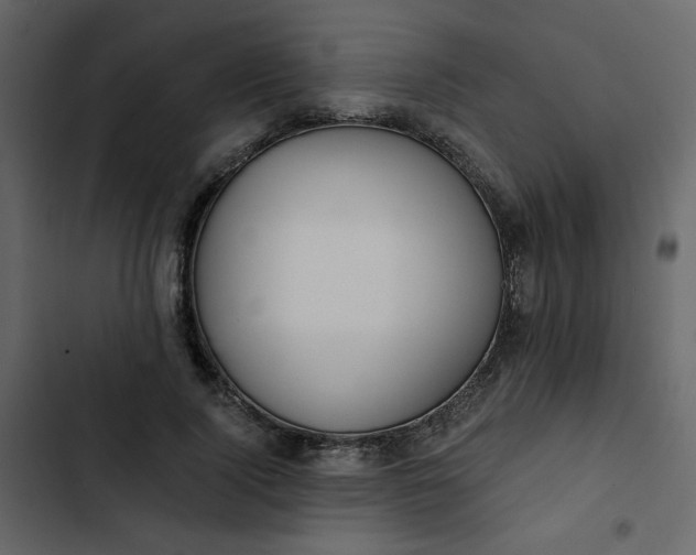 X0000102820740200809021250
