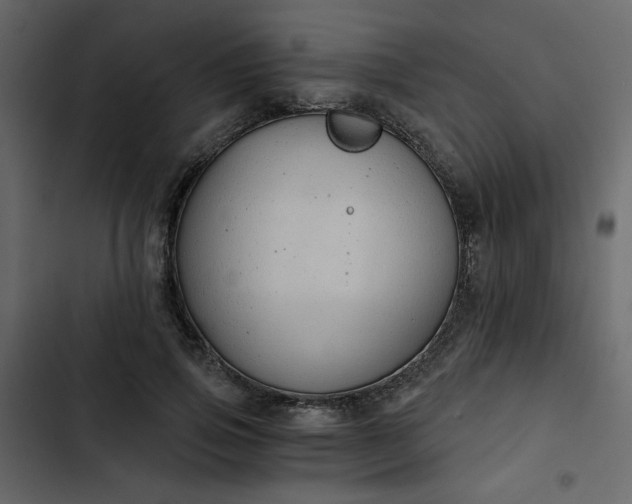 X0000102820741200809021250