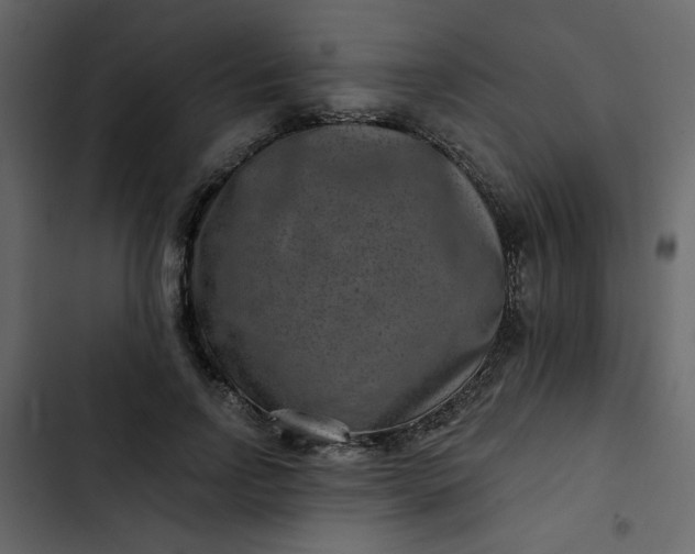 X0000102820742200809021250