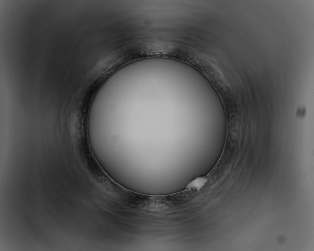 X0000102820743200809021250