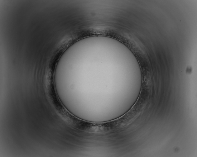 X0000102820744200809021250