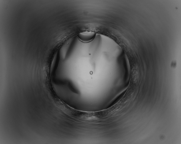 X0000102820747200809021250