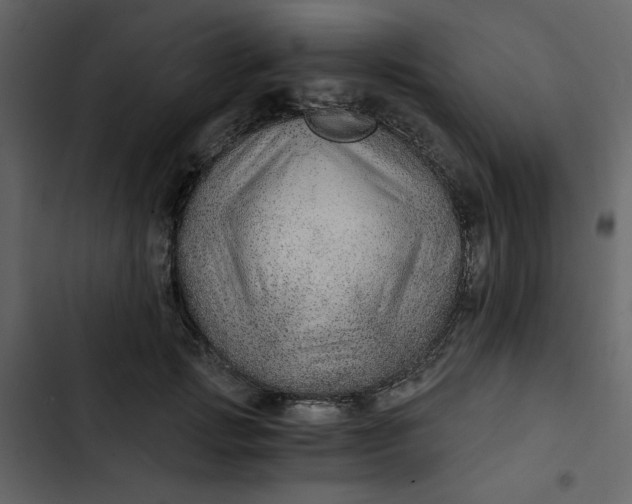 X0000102820749200809021250