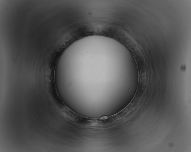 X0000102820750200809021250
