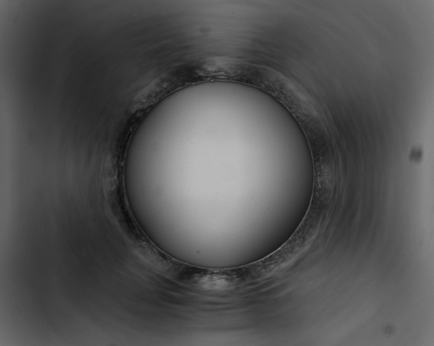 X0000102820751200809021250