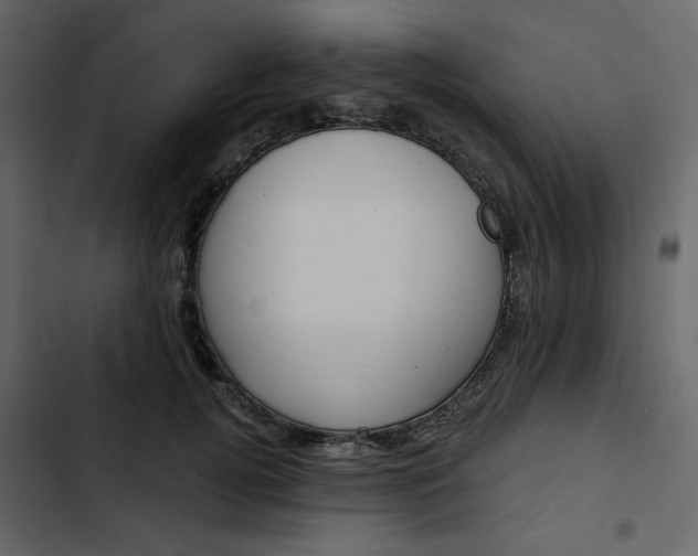 X0000102820752200809021250