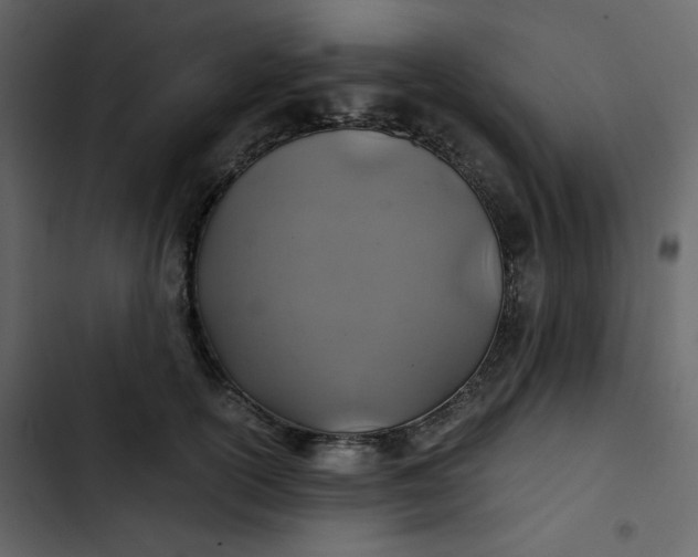 X0000102820754200809021250