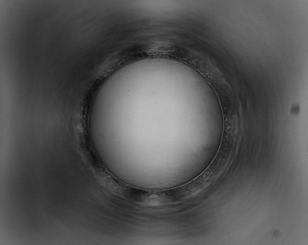 X0000102820755200809021250
