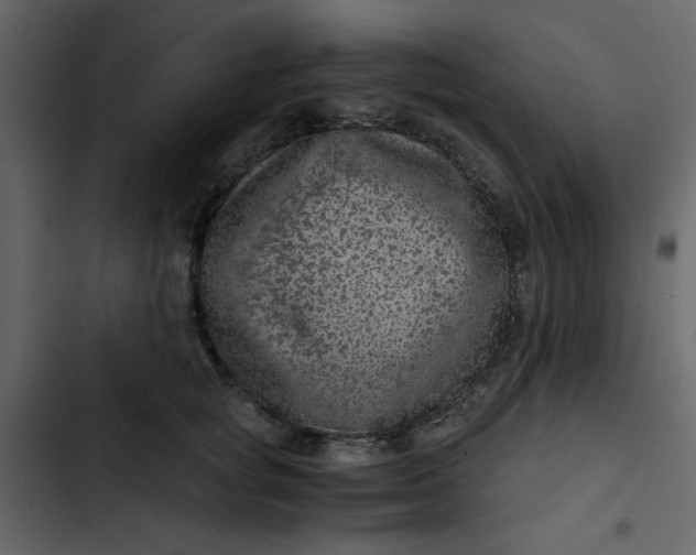 X0000102820757200809021250