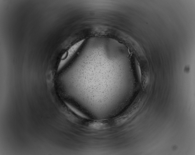 X0000102820759200809021250