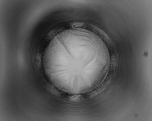 X0000102820761200809021250