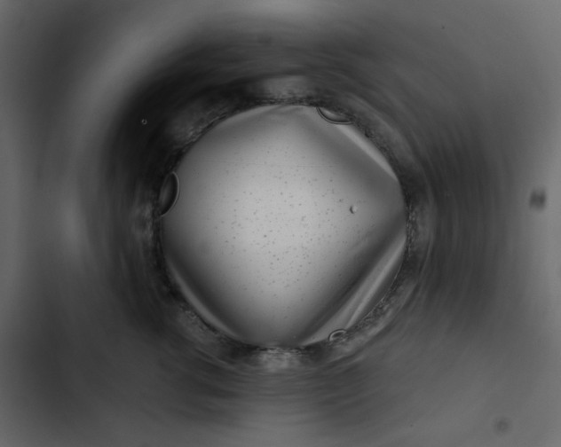 X0000102820762200809021250