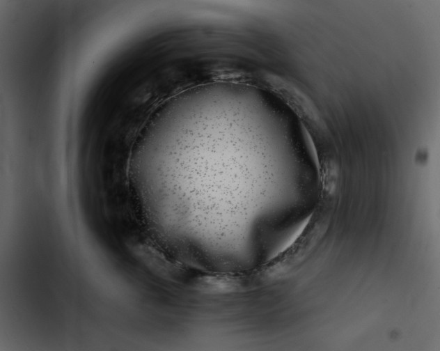 X0000102820763200809021250