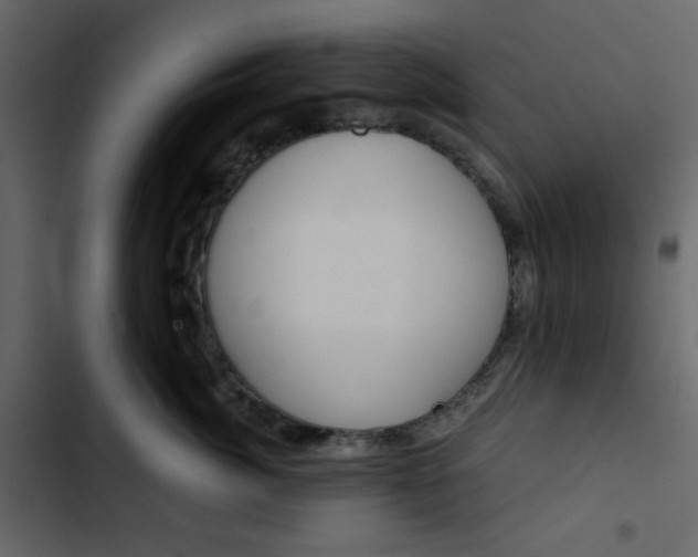 X0000102820764200809021250