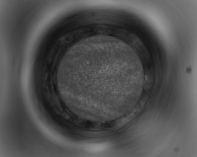X0000102820765200809021250