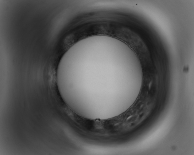 X0000102820766200809021250
