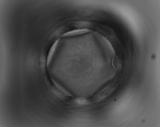 X0000102820767200809021250