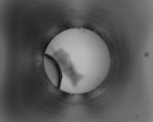 X0000102820768200809021250