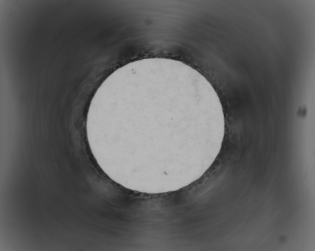 X0000102820769200809021250