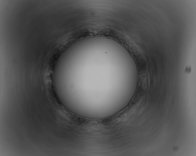 X0000102820770200809021250