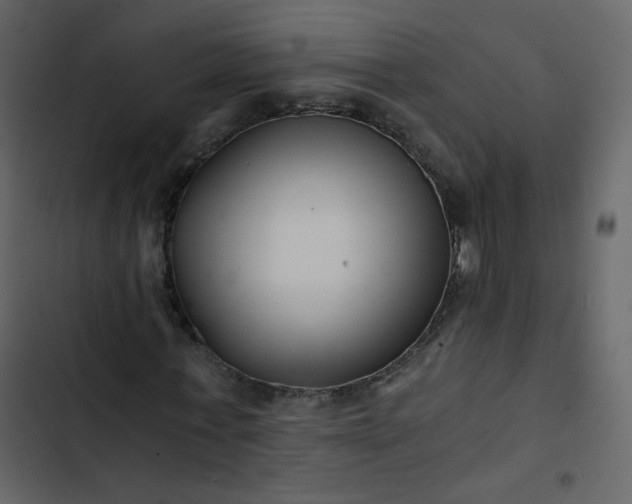 X0000102820771200809021250
