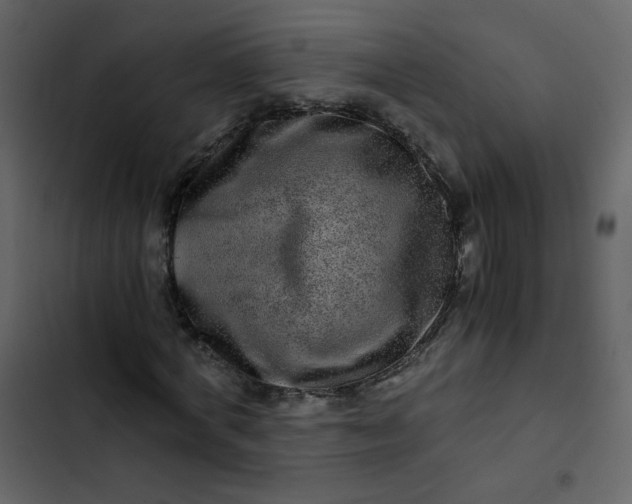 X0000102820772200809021250