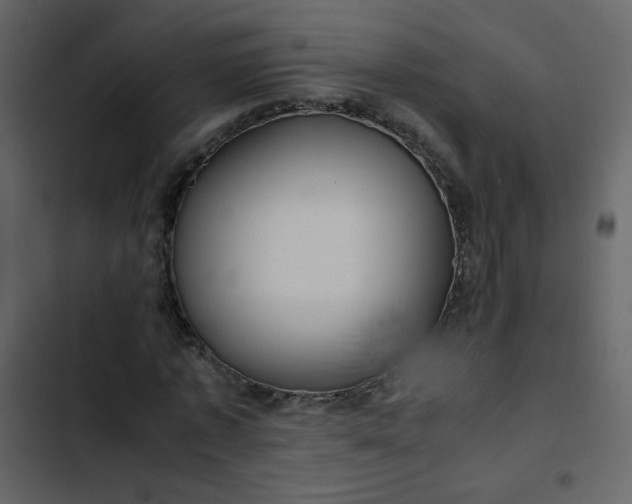 X0000102820773200809021250