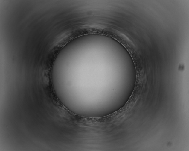 X0000102820774200809021250