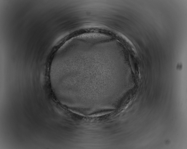 X0000102820775200809021250